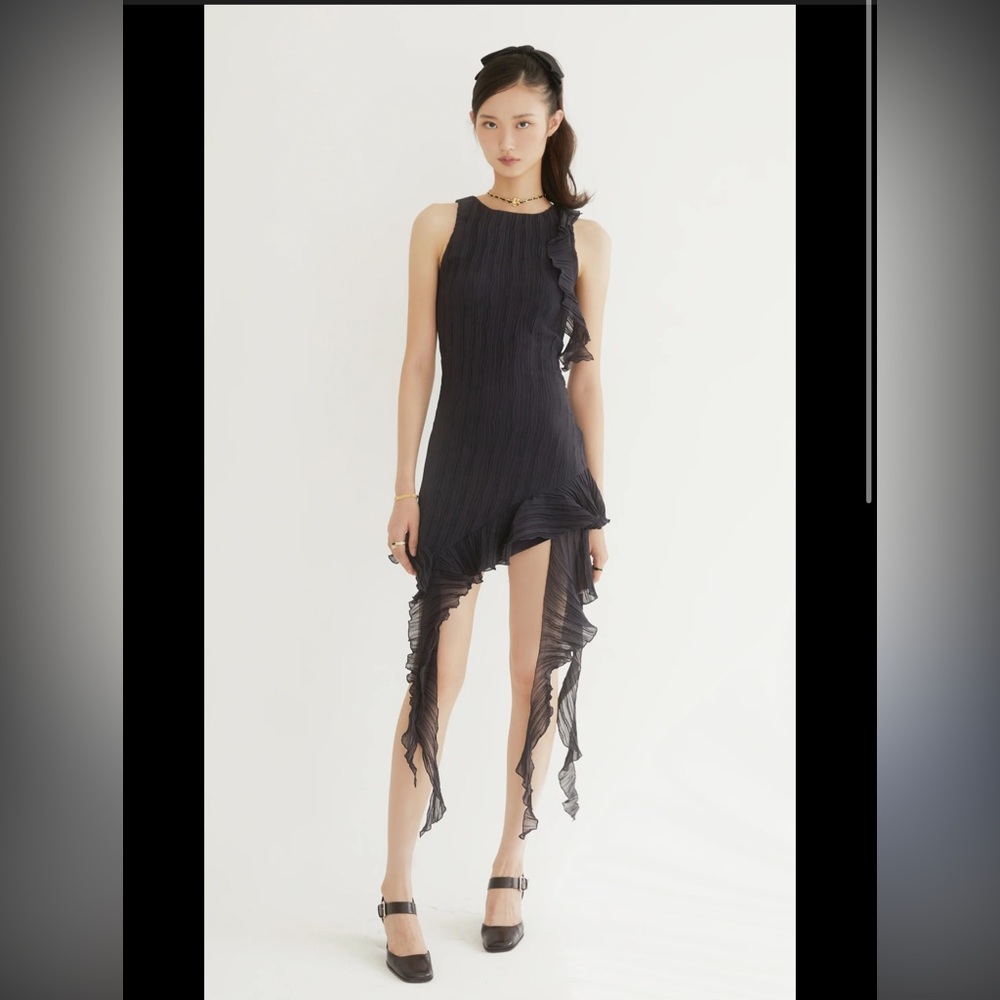 Zara Black Pleated Ruffle Hem Dress- FINAL PRICE - Picture 2 of 8